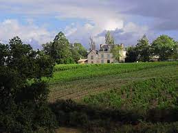 Expert-comptable à Bellevigne-en-Layon