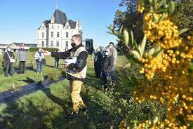 Expert-comptable à Erdre-en-Anjou