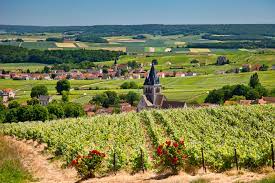 Expert-comptable à Champagney
