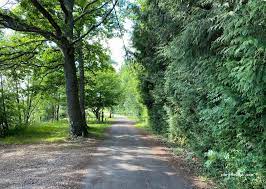 Expert-comptable à Villeneuve-en-Perseigne
