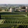 Expert-comptable à Bourg