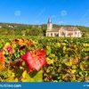 Expert-comptable à Givry