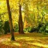 Expert-comptable à Nogent-sur-Vernisson