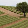 Expert-comptable à Pierrevert