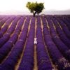 Expert-comptable à Valensole